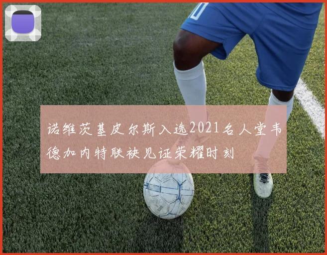 诺维茨基皮尔斯入选2021名人堂韦德加内特联袂见证荣耀时刻