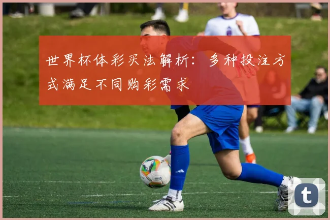 世界杯体彩买法解析：多种投注方式满足不同购彩需求