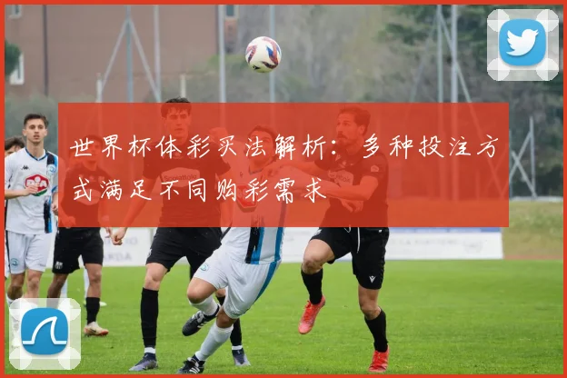 世界杯体彩买法解析：多种投注方式满足不同购彩需求