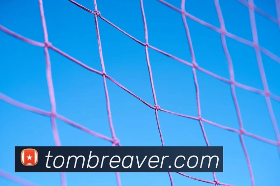 世界杯官网中文版服务体系